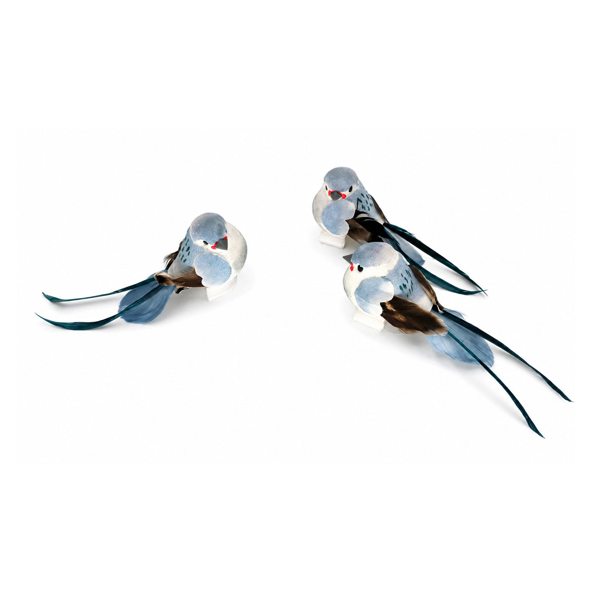 Bird (S/3)
