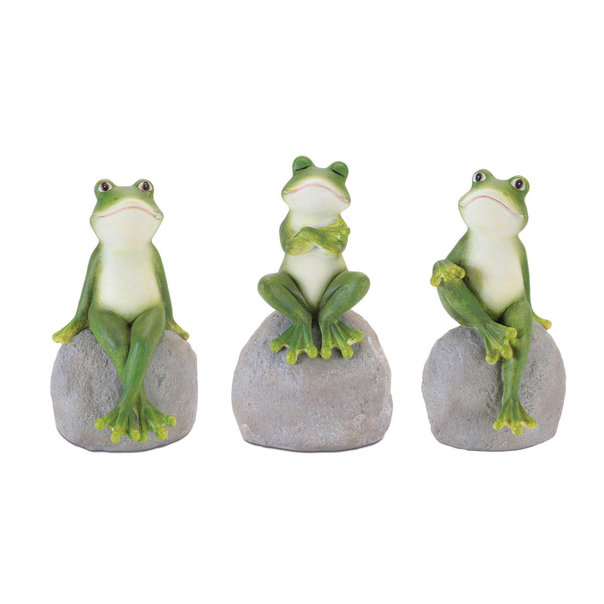 Frog on Rock (S/3)