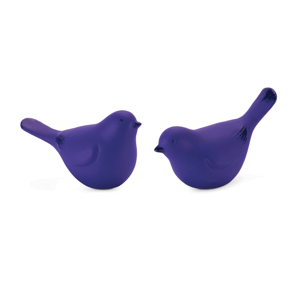 Bird (S/2)