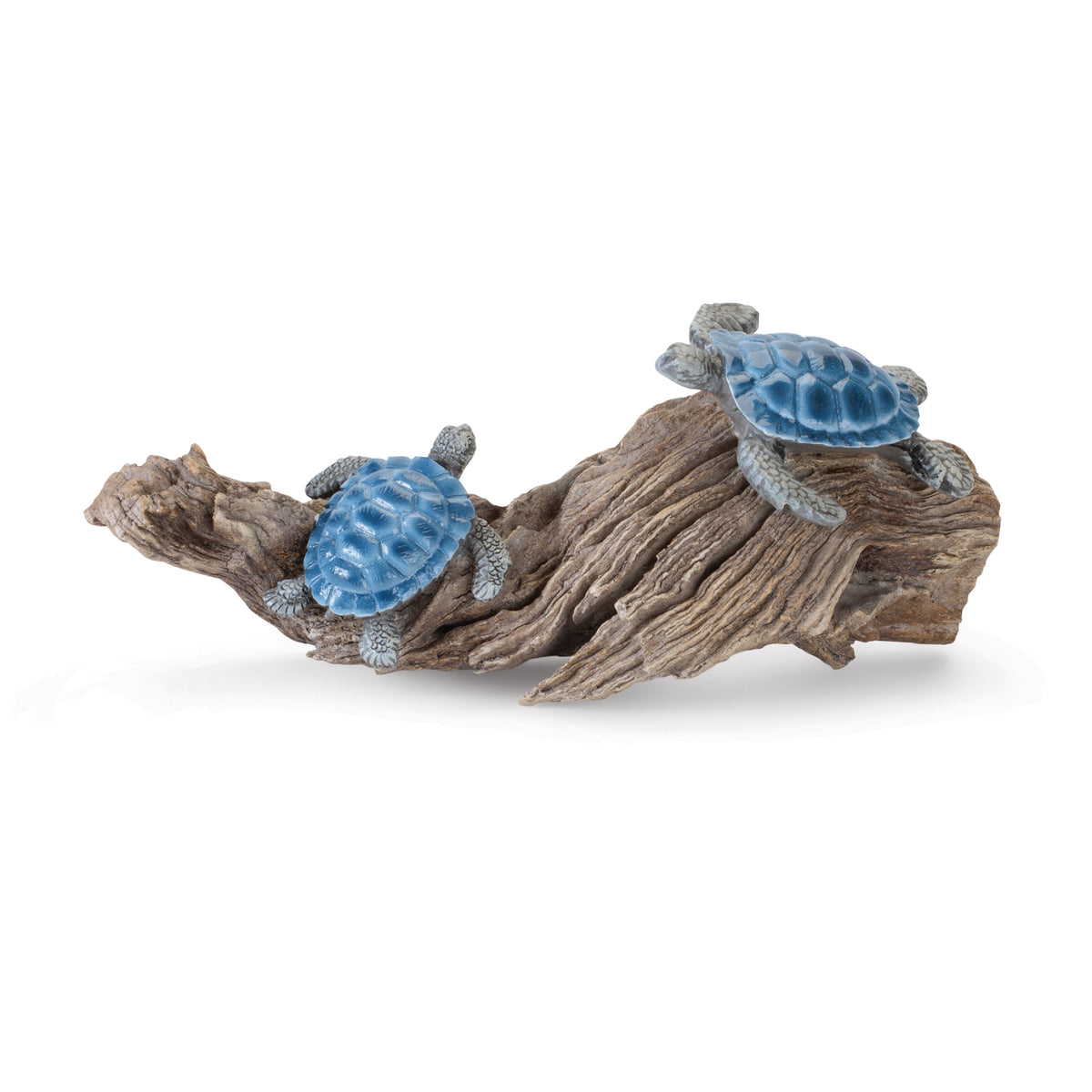 Double Turtles on Driftwood