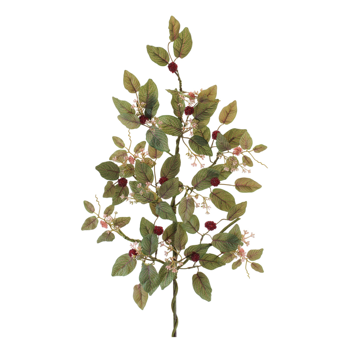 Raspberry Spray