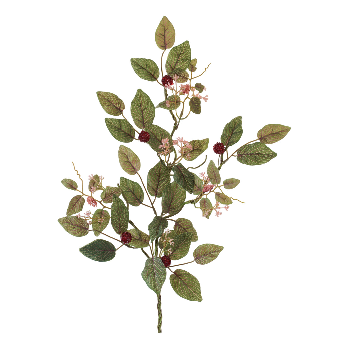 Raspberry Spray