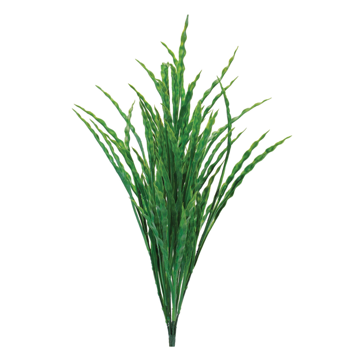 Bird's Nest Grass Bush