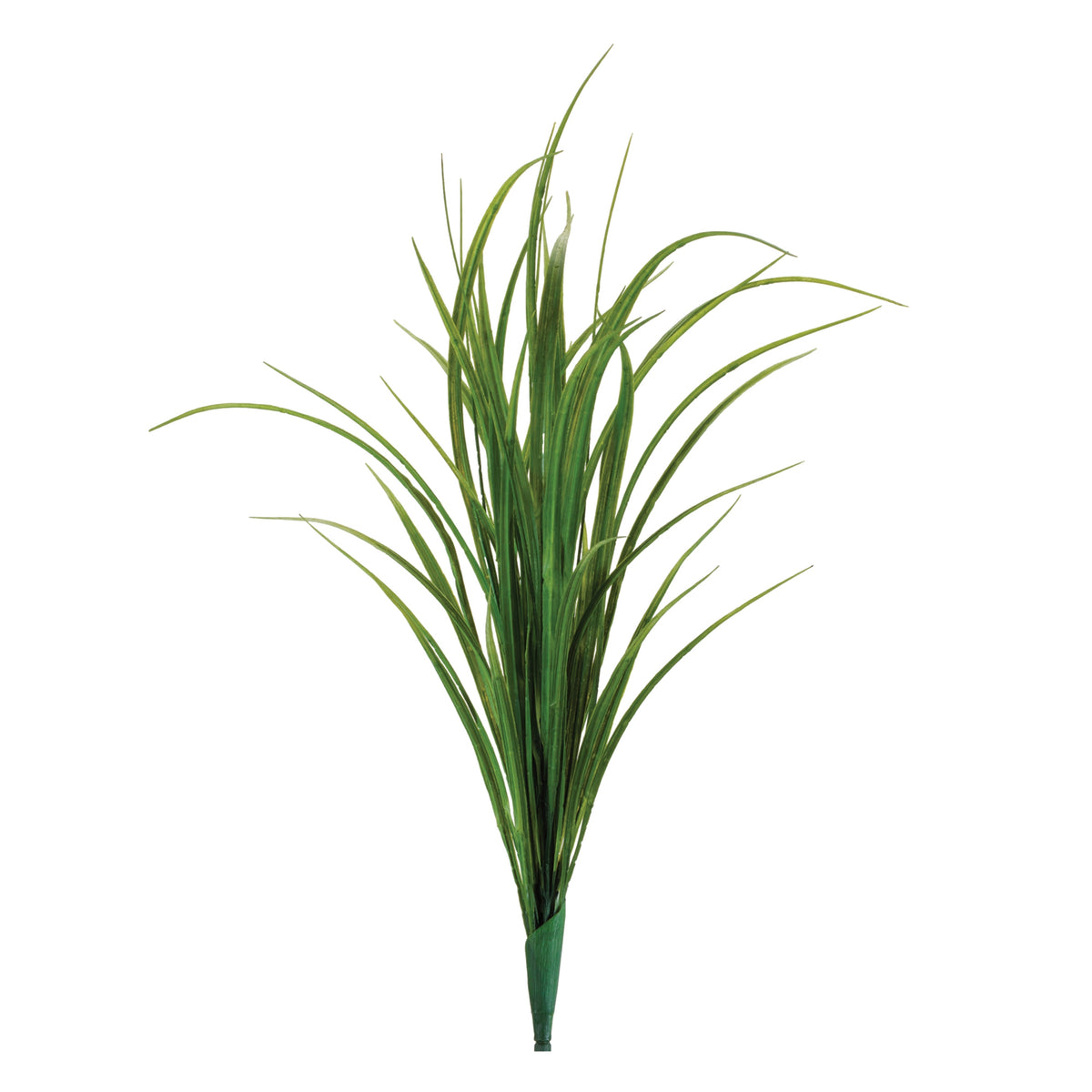 Himalayas Grass Bush