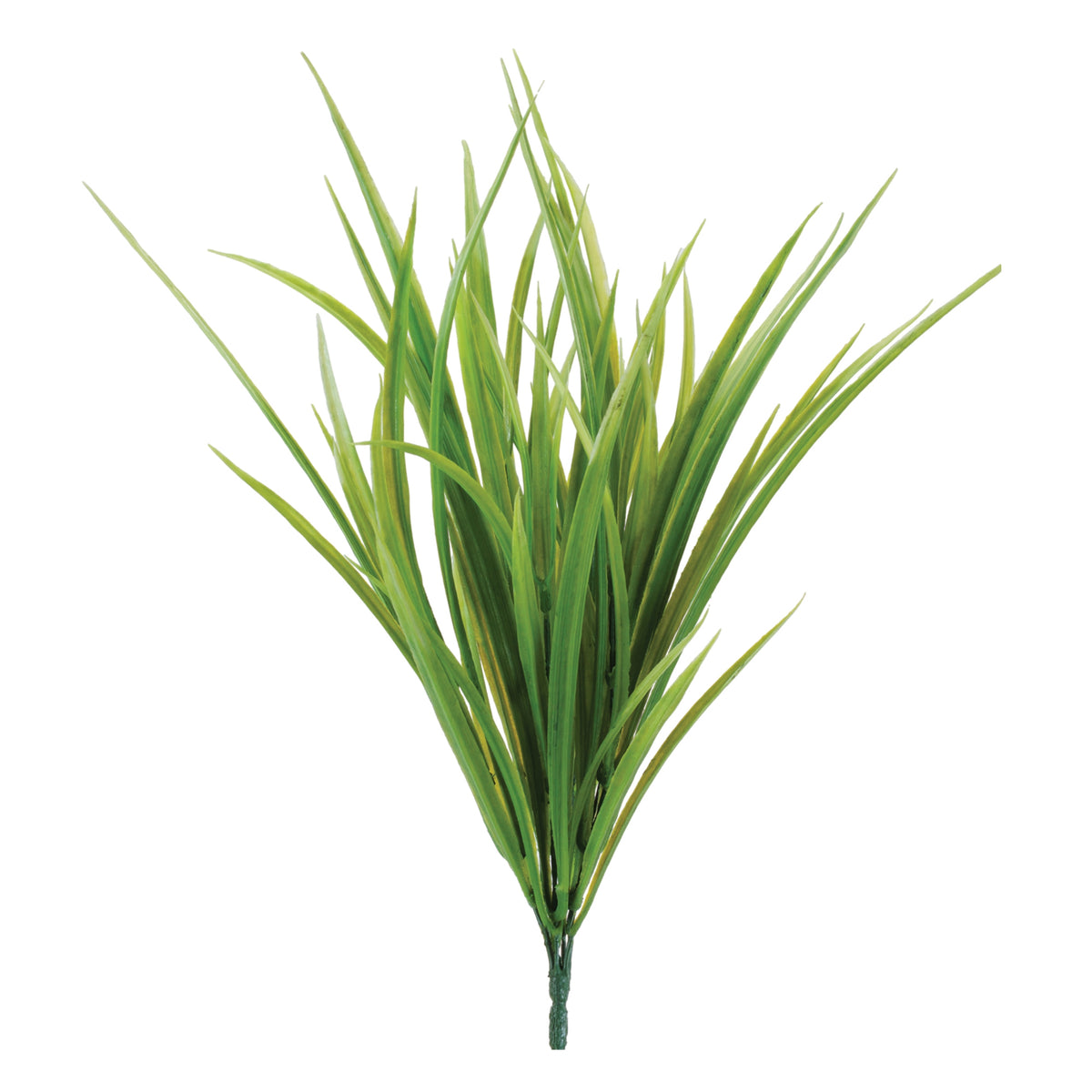 Sword Grass Bush