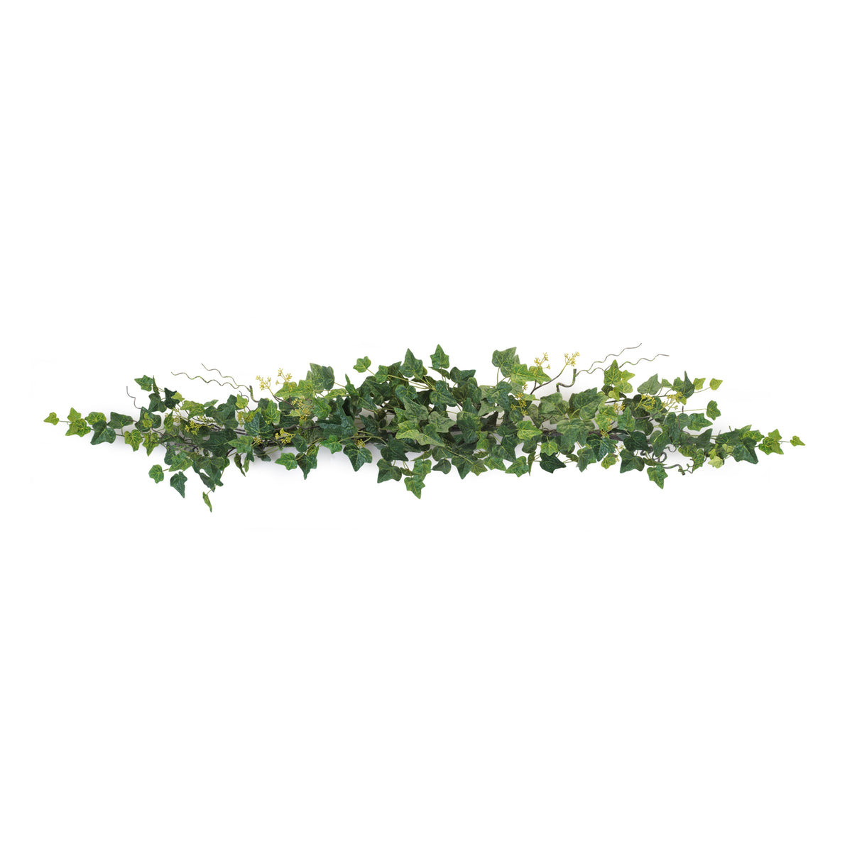Ivy Garland