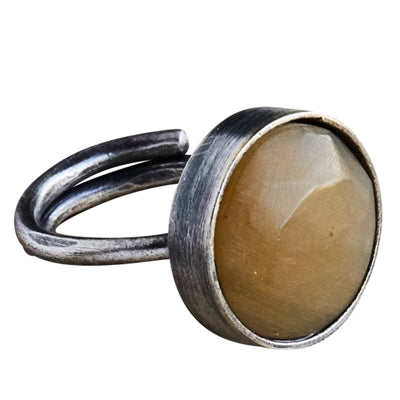 Penny Ring, Light Horn