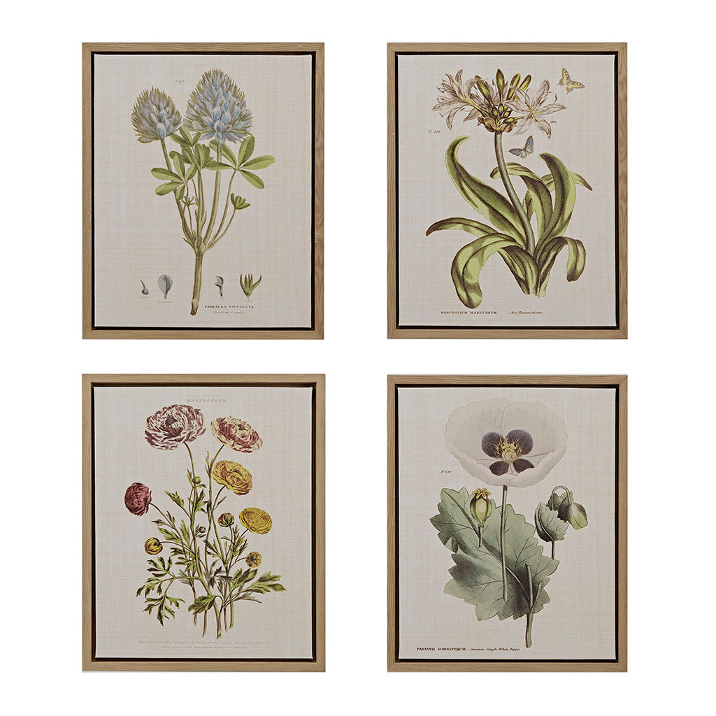 Martha Stewart Herbal Botany Canvas Wall Art
