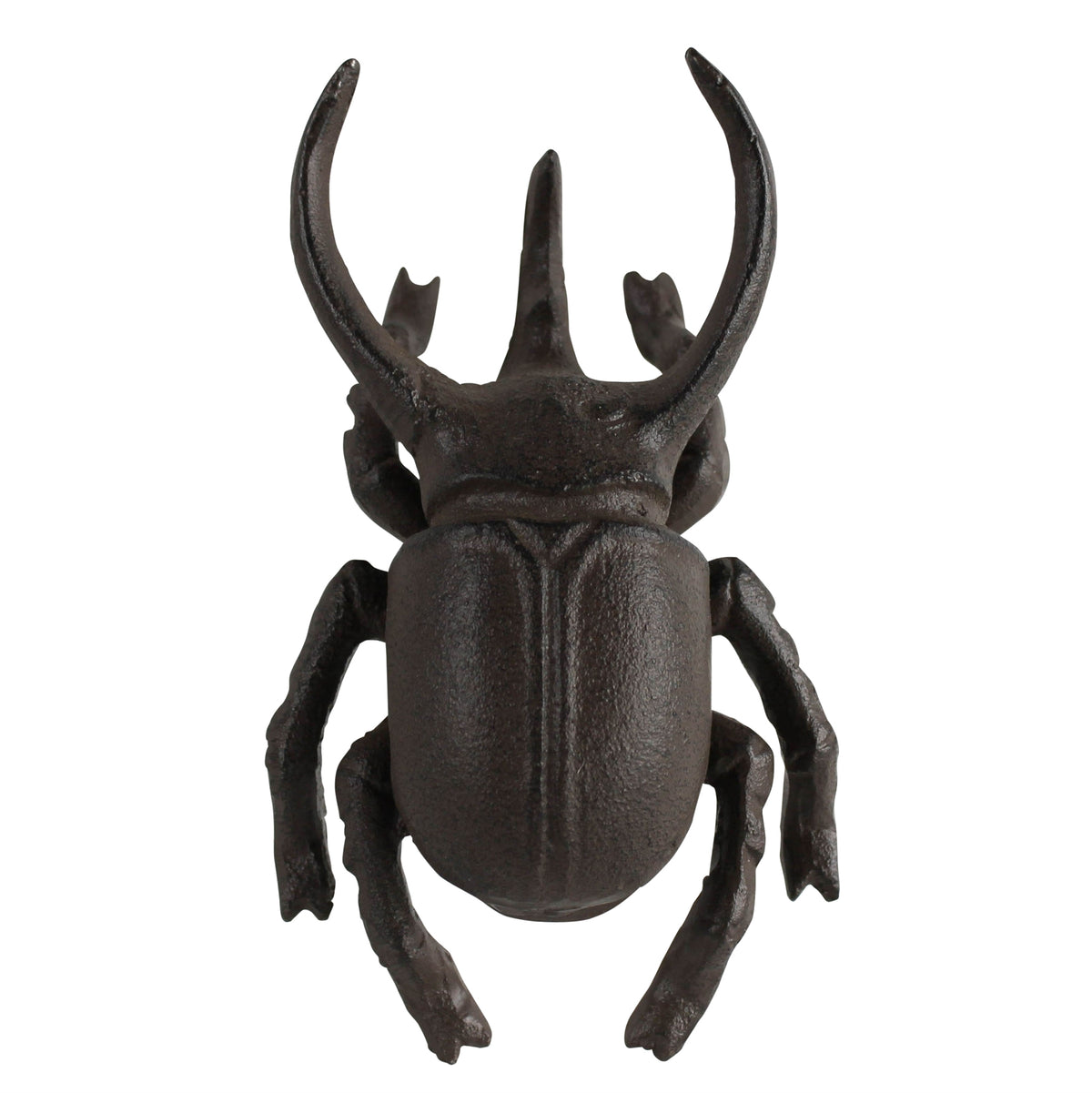 Long Horned Beetle