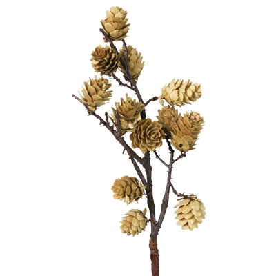Botanical Stem - Mini Pinecone, White