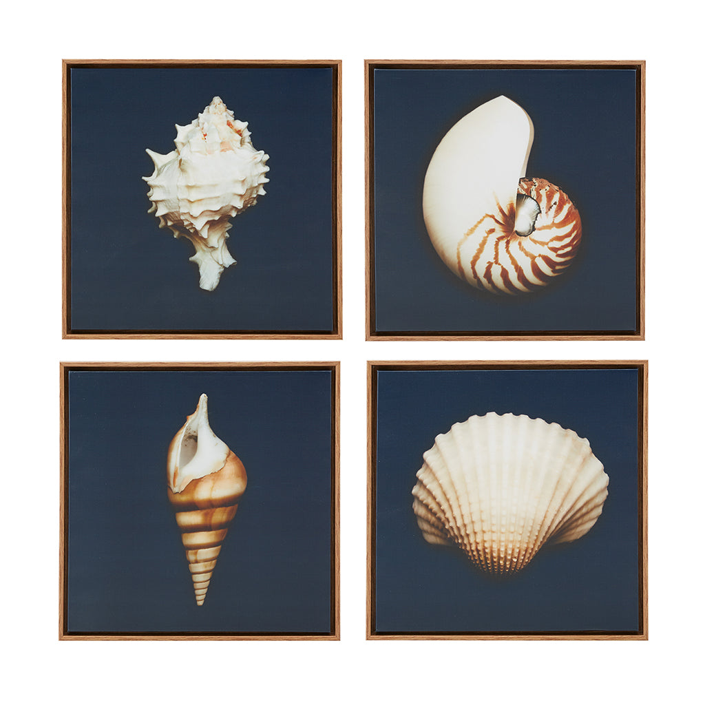 Ocean Seashells Hand Embellished Framed Canvas Horse Wall Art