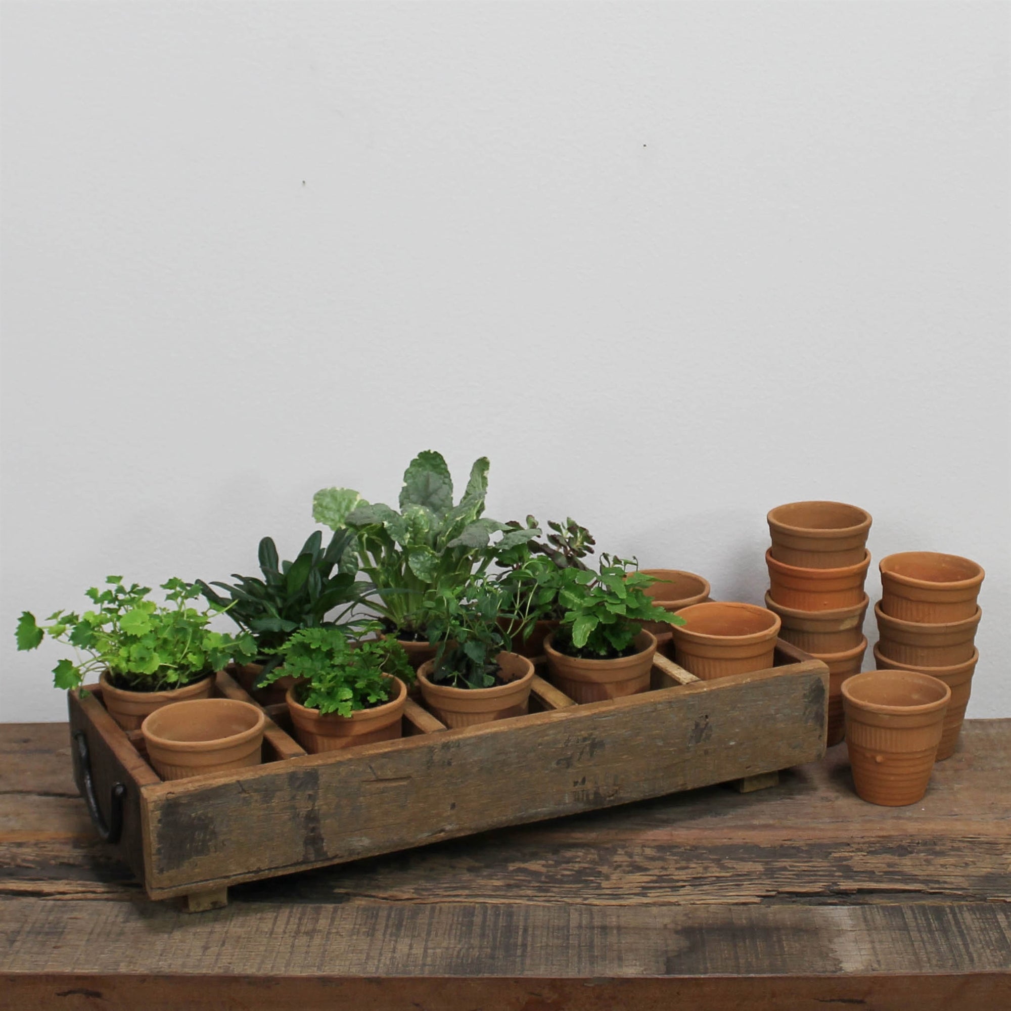 Wood Caddy w/ Pots