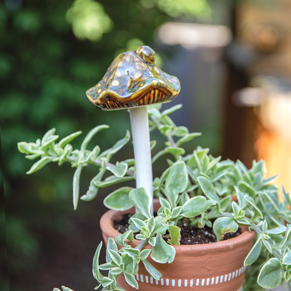 Wavy Bell Mushroom Plant Pick