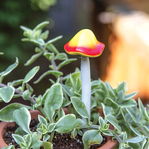 Mini Mushroom Plant Pick