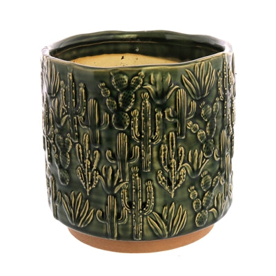 Cactus Motif Cachepot, Ceramic - Lrg - Green