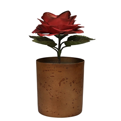 Pot with Rose