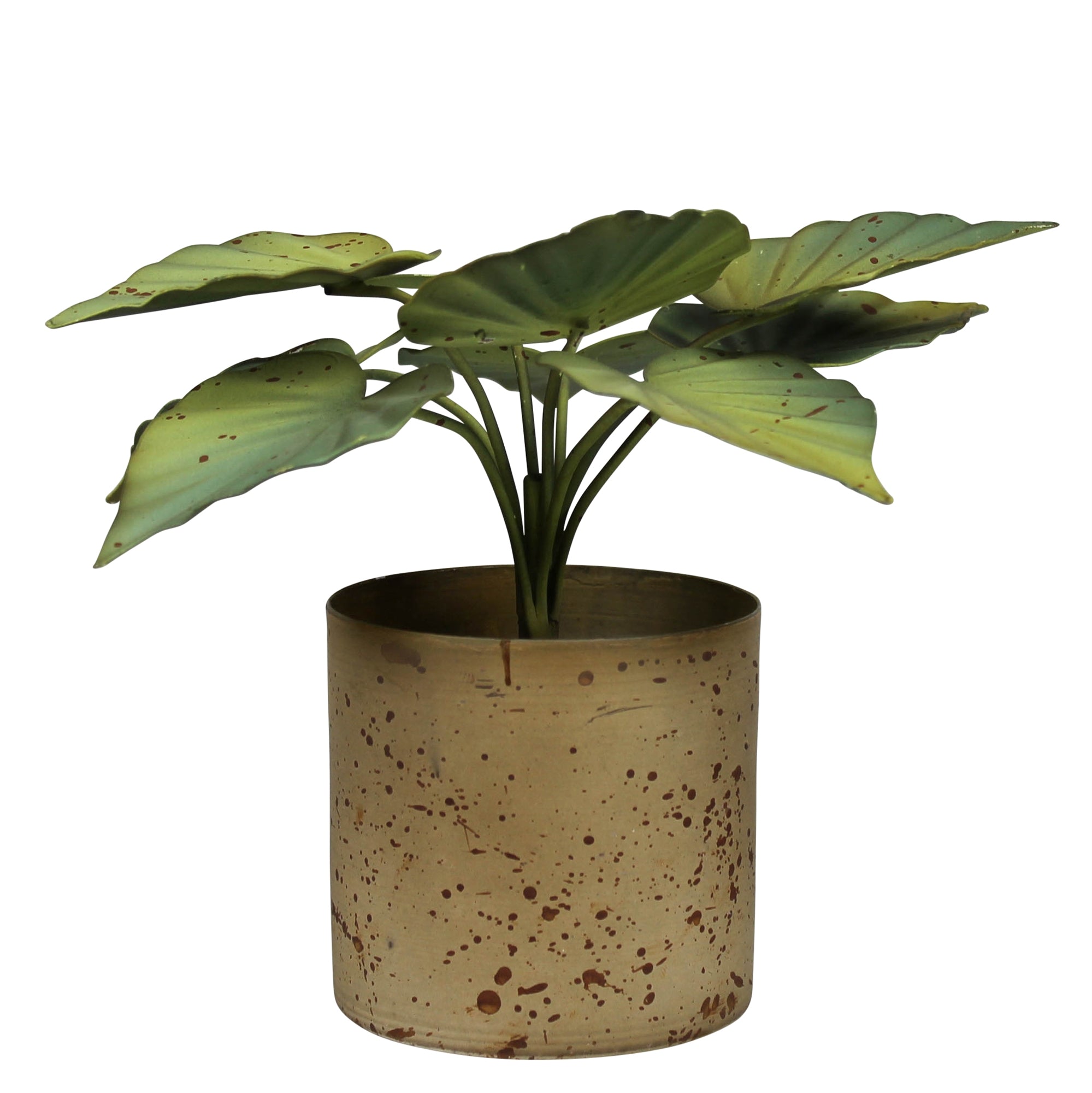 Pot with Green Leaves, Aluminum