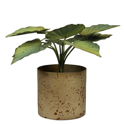 Pot with Green Leaves
