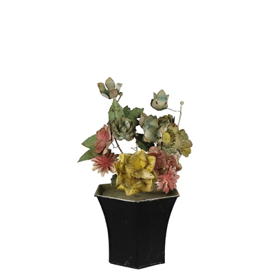 Decorative Plant - Roses