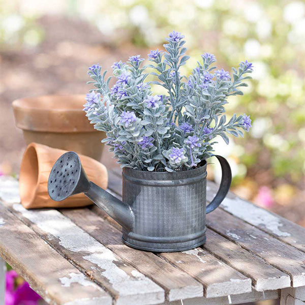 Mini Watering Can