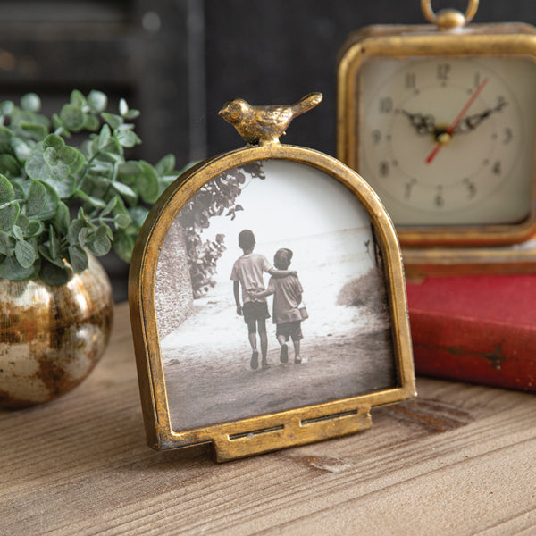 Golden Aviary Arch Frame - 5 x 5