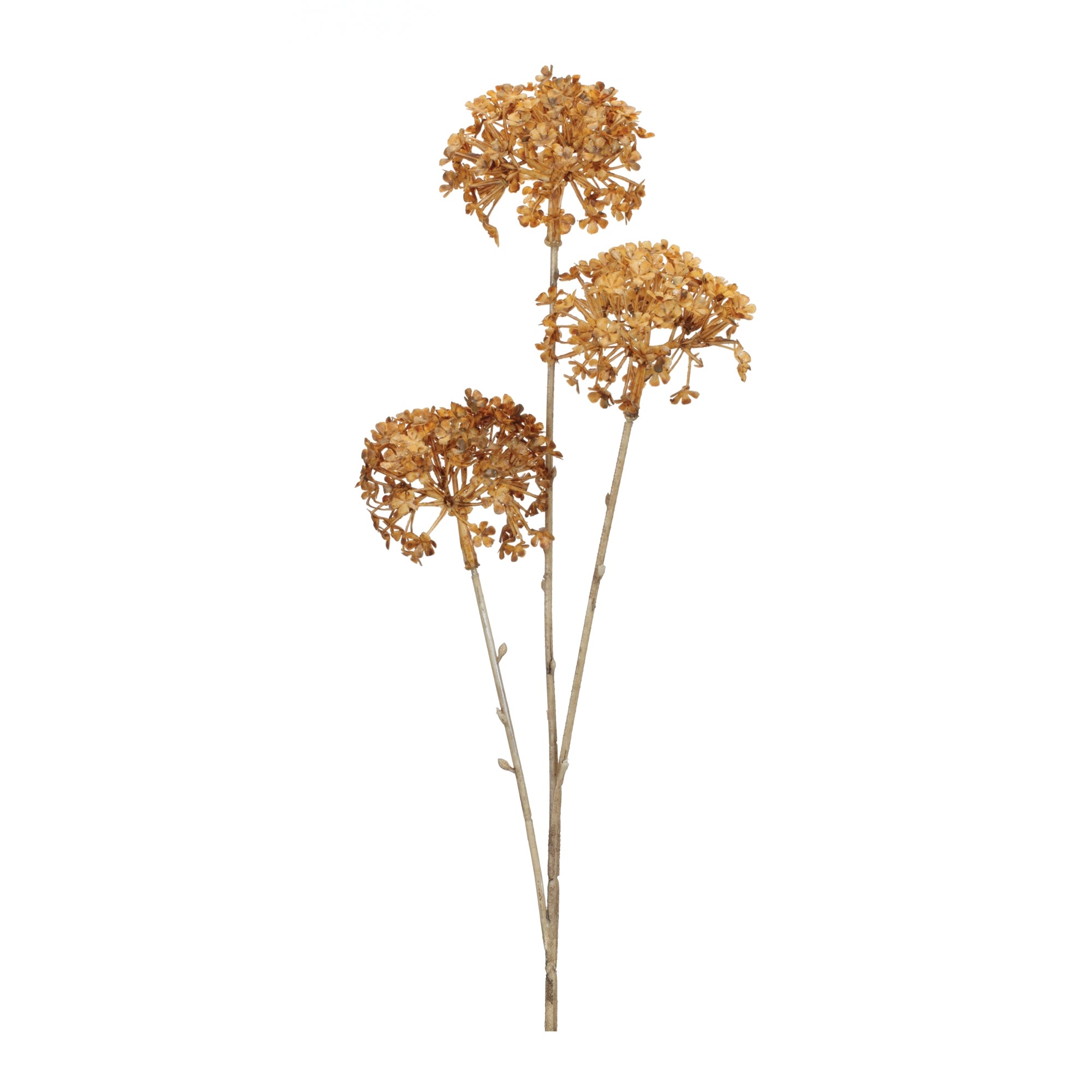 Golden Hydrangea Stem 28"H Polyester