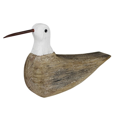 Sitting Sand Piper