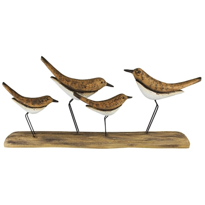 Tunis Birds, Group of 4