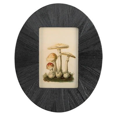 Palos Wall Picture Frame - Oval 4"x6"