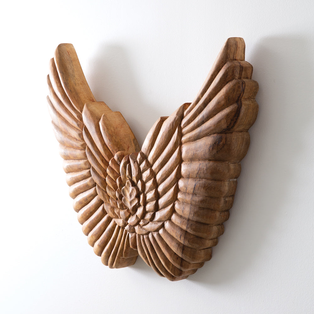 Reclaimed Angel Wings
