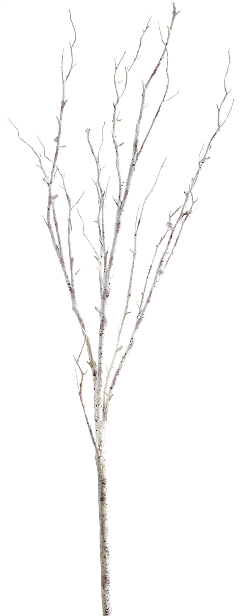 Twig Birch Branch (Set of 12) 42"H