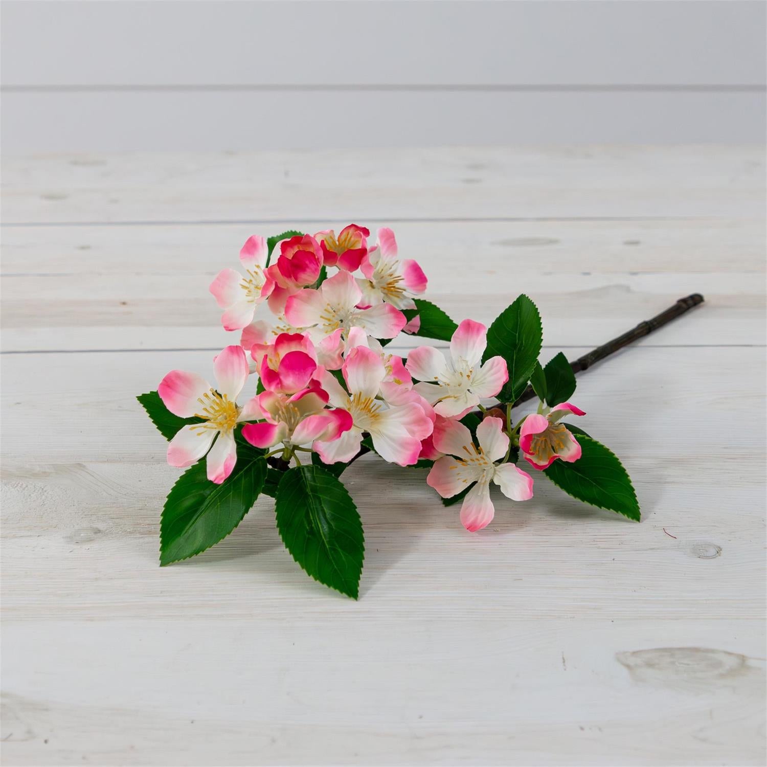 Spray - Cherry Blossom Pink