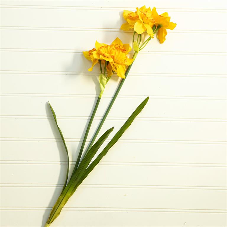Pick - Yellow Daffodils