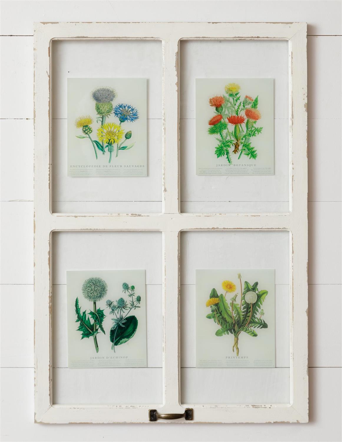 Window - Botanicals