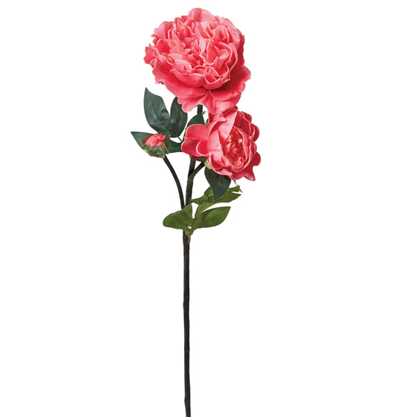 Pink Peony Stem - Min of 4