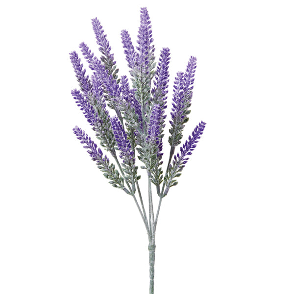 Lavender Bush - Min of 2