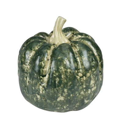 Green Gourd - Sm