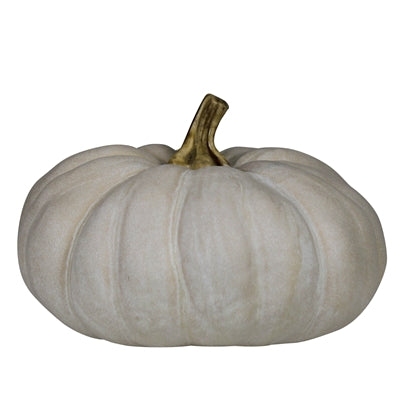 Pumpkin, White - Lrg
