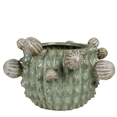 Cactus Cachepot - 4”