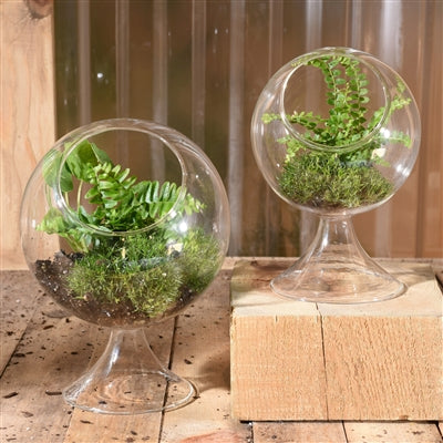 Round Sphere Terrarium (Sm)