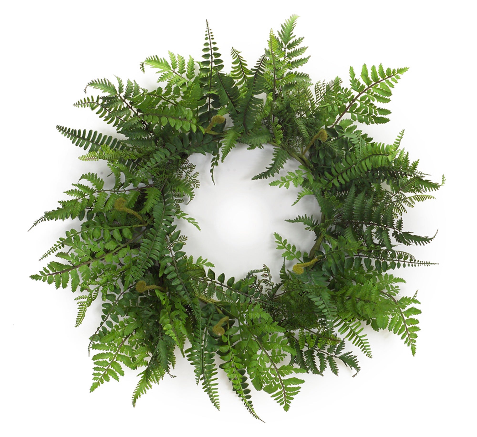 Fern Wreath 24"D