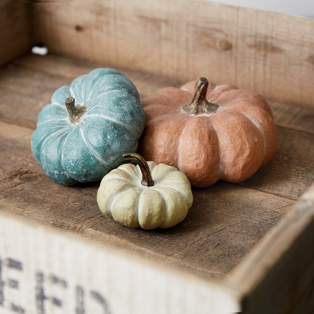 Large Harvest Pumpkin