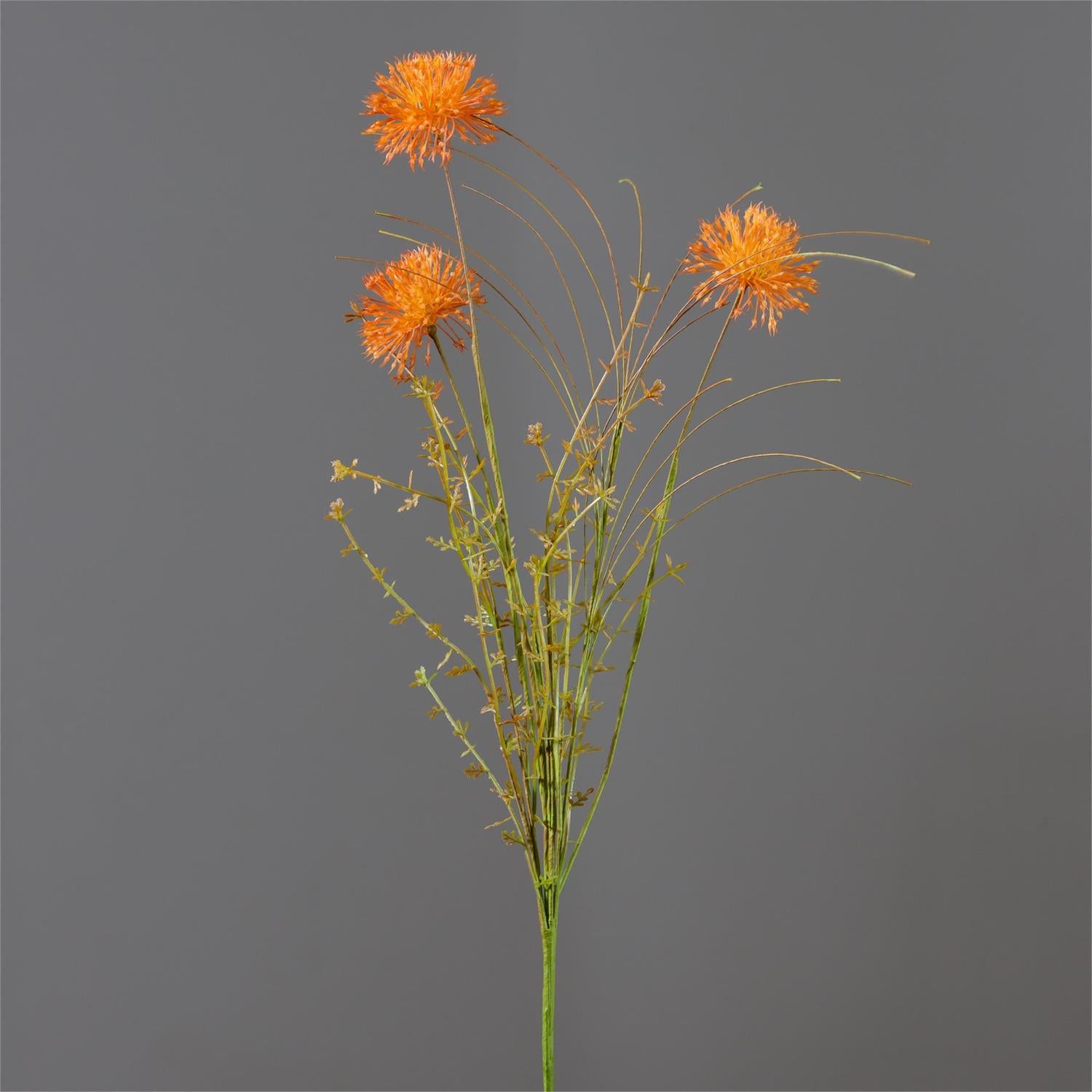Branch - Rust Allium
