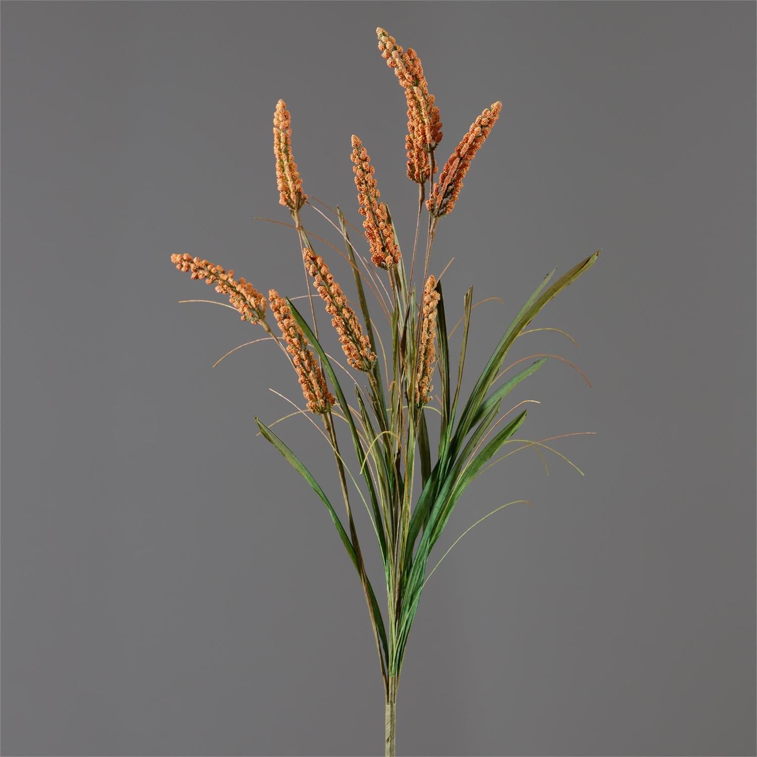 Branch - Rust Spikes With Foliage