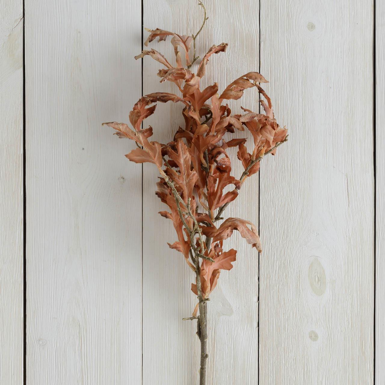Branch - Dried Oak Leaves, Brown