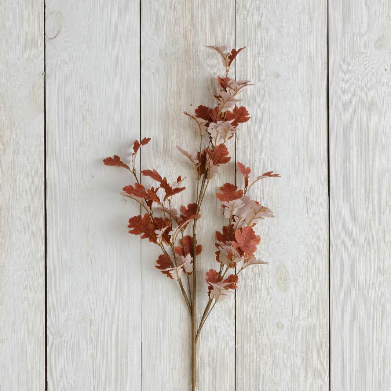 Branch - Brown Oak Leaves