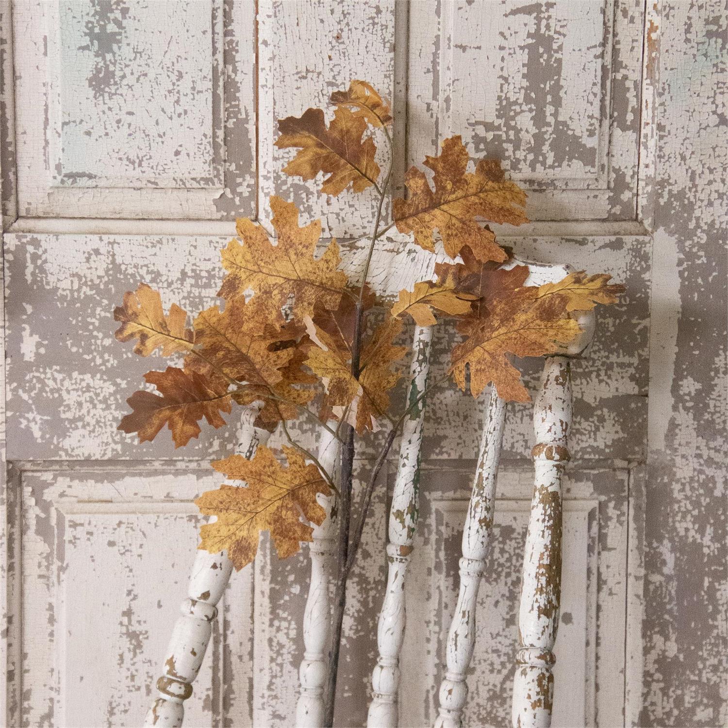 Branch - Fall Oak