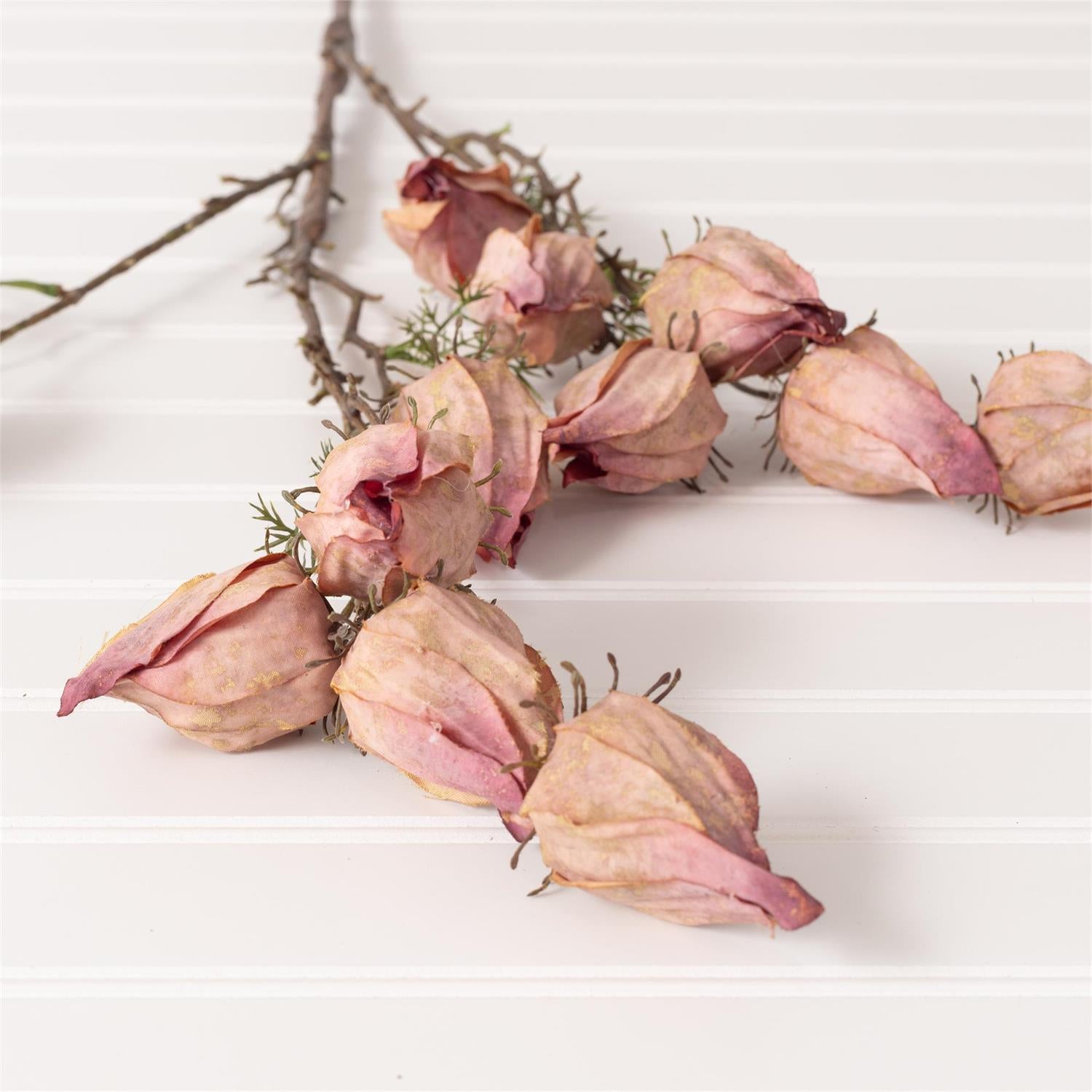 Withered Chinese Lantern Purple Spray