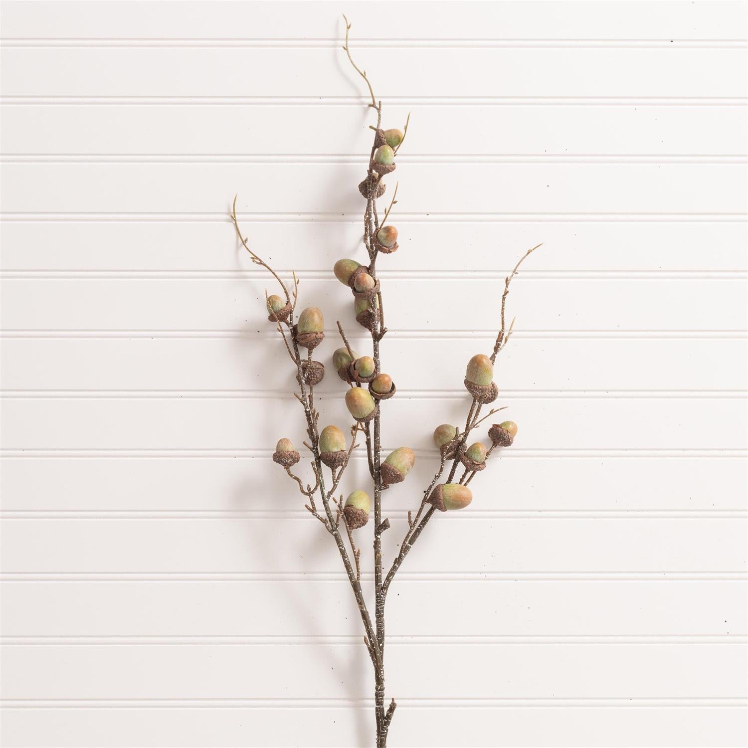 Pick - Green Acorn Spray