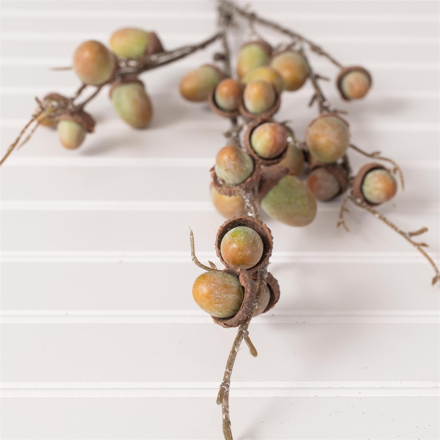 Green Acorn Spray